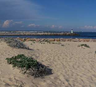 Die Badeinsel vor Tavira