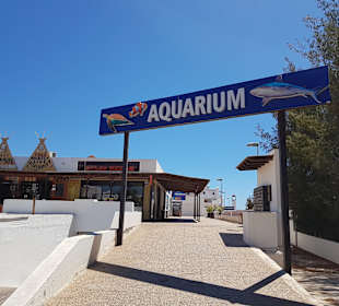 Aquarium de Costa Teguise