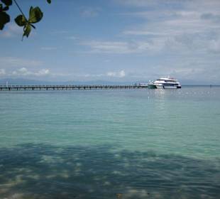 Green Island