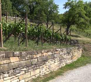 Früchtetrauf - Wurmlinger Kapellenwegle