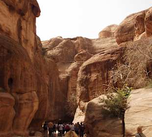 Landausflug nach Petra (Jordanien)