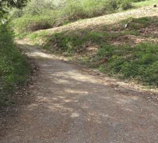 Wanderweg Firstwaldrunde