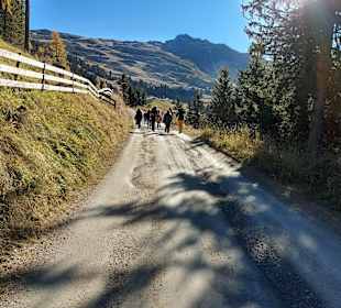 Wandern Wenns
