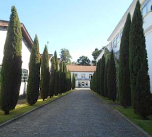 Real Companhia Velha