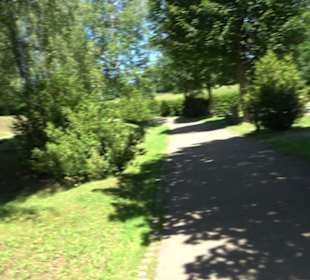 Friedhof Holzelfingen