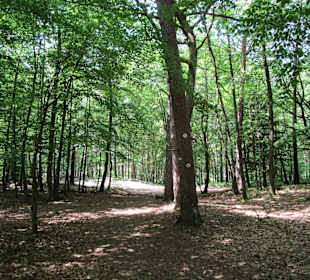 Totenkopfhütte Umgebung
