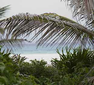 Abseits vom Hotel gibt es eine schöne Vegetation