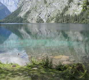 Obersee
