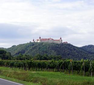 Wachau