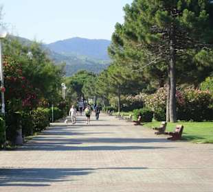 Wanderung an der Strandpromenade