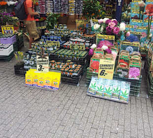 Starterkit für Drogen