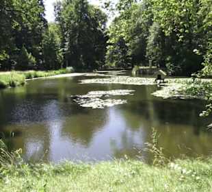 Englischer Garten