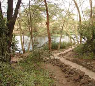 Mzima Spring