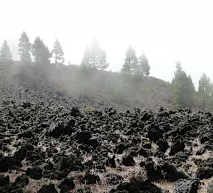 Cumbre Vieja / Lavastrom von San Nicolas