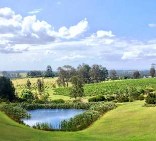 Weingebiet um Pokolbin