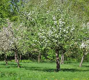 Rundgang durch den Walter-Peters-Park