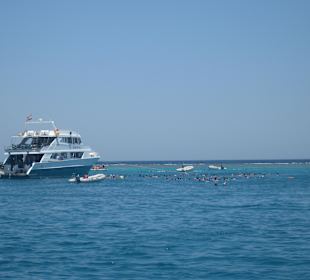 Sataya Riff Marsa Alam
