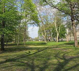Blick vom Park zur Ludwigsbrücke