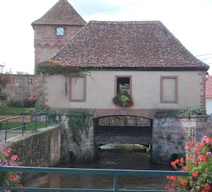 Altstadt Wissembourg