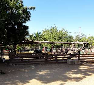 Rundgang über das Gelände der Rancho Alegre