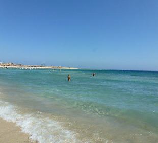 Abu Dabab in Marsa Alam 