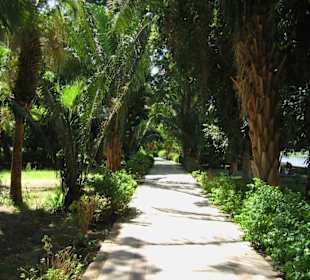 Rundgang über Geziret El-Nabatat