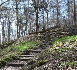 Wanderung Kirnberg-Runde Bebenhausen