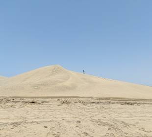 Dünen von Maspalomas