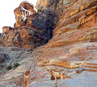 Felsenstadt Petra