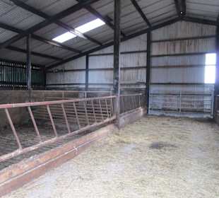 Patsy's Shaffarm