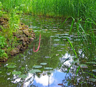 Flussläufe