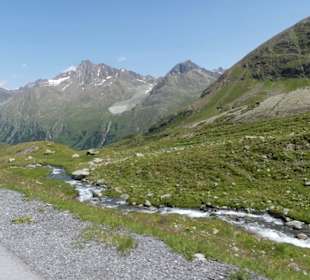 Das Gras wird weniger