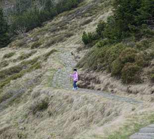 Berg Schneekoppe/Śnieżka