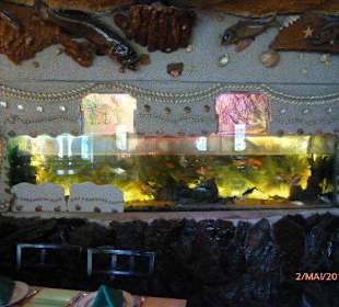 Ein gr. Aquarium
