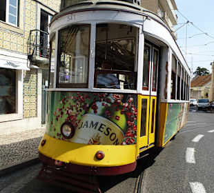 Die alte Lady von Lissabao