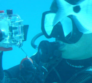 Der Taucher als Fotograf
