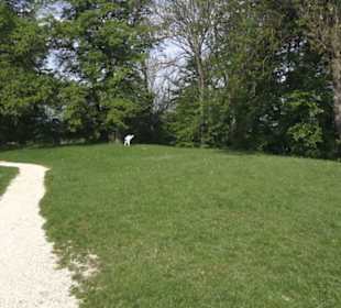 Stauferstele Hohenstaufen