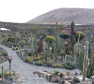 Jardin de Cactus