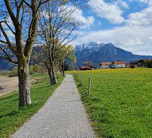 Wandern Schwangau