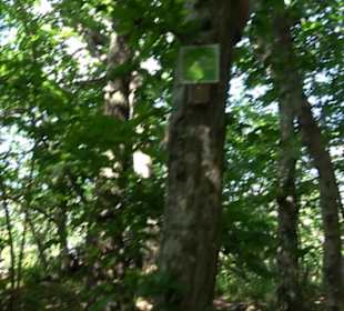 Premiumwanderweg "hochgelegen"