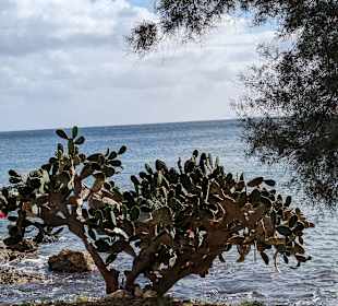 Wandern Sa Coma