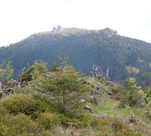 Wandergebiet Großer Arber