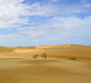 Nationalpark Médanos