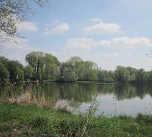 Altrhein bei Sondernheim