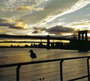 Langsam kommt der Tag