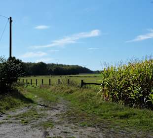 Wandern Datteln