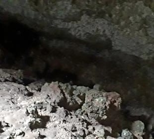 Coral Caves Mangapwani