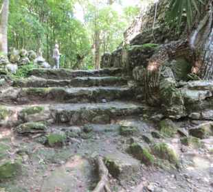 Ausflug mit Daniel zu den Maya Ruinen in Muyil