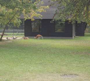 Zoo Warszawa