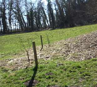 Klosterfelsenweg